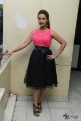 Merina Abraham at Romance with Finance Movie Press Meet